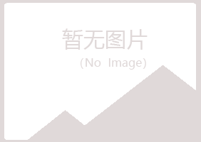 兴山区彩虹音乐有限公司